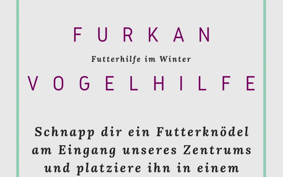 Furkan Vogelhilfe – 17.01.2022